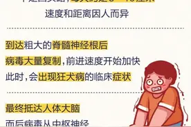 被狗咬伤，不打狂犬疫苗会要命吗？图片