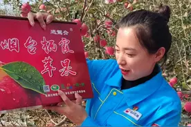 唐家泊镇助力苹果“云”销售!中石油首届全地市苹果销售直播进果园图片