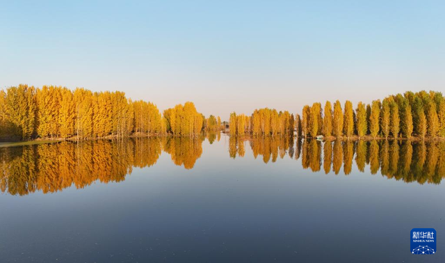 河北隆尧：初冬泜河风光秀美