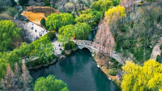 一场大赛为何能让人才把“心动”变“心安”？