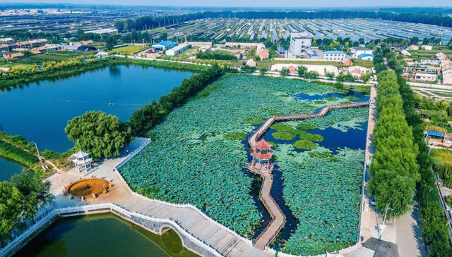 沈阳推出9条秋季乡村游精品线路，稻浪红枫、硕果肥蟹！