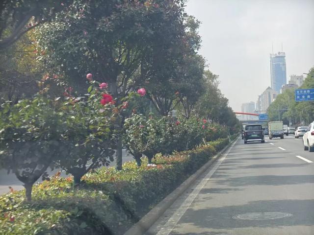 西安因你而美 | 在秋日撞见热烈的浪漫 春夏“顶流”回归