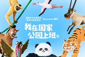 腾讯文档上线“自然模式”，国家公园珍稀动物们邀你开启云端协作图片