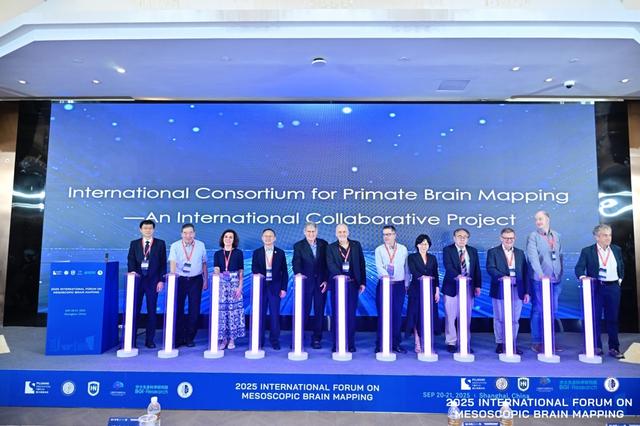 画一张大脑“高清地图”究竟多麻烦？两个月前就“剧透”的联盟今天在上海成立