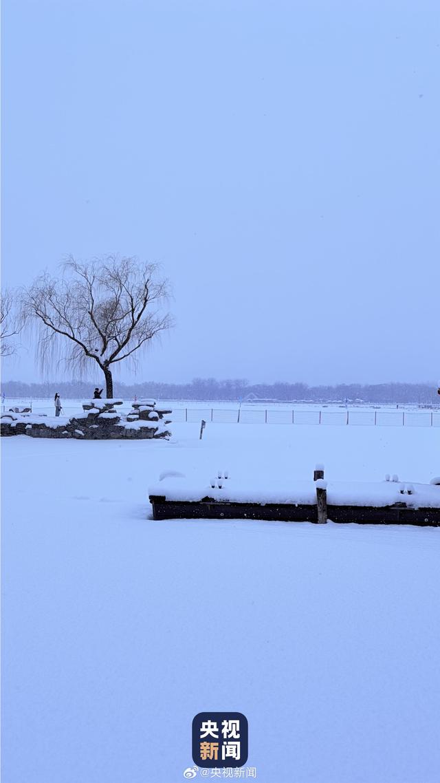 一场雪 颐和园美成了国画