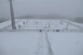 大雪、暴雪来了！河南再发紧急提醒图片