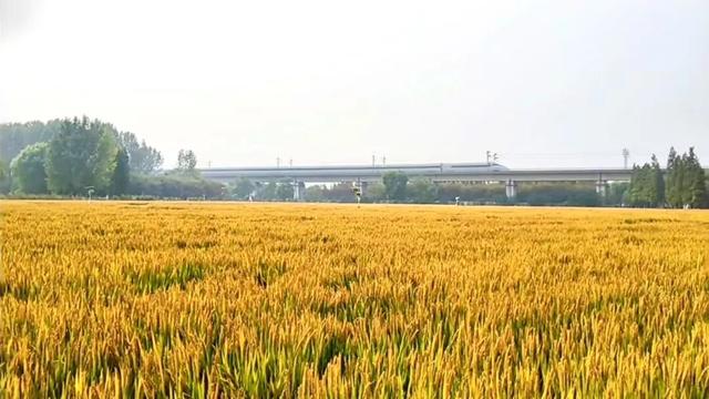 秋高气爽！接下来的宜兴→