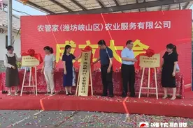 村委会升级成超级服务平台？峡山区首家！图片