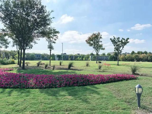 长宁这座公园焕新归来！