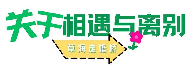 美丽乡村 | 盐源的山水 ,会讲故事