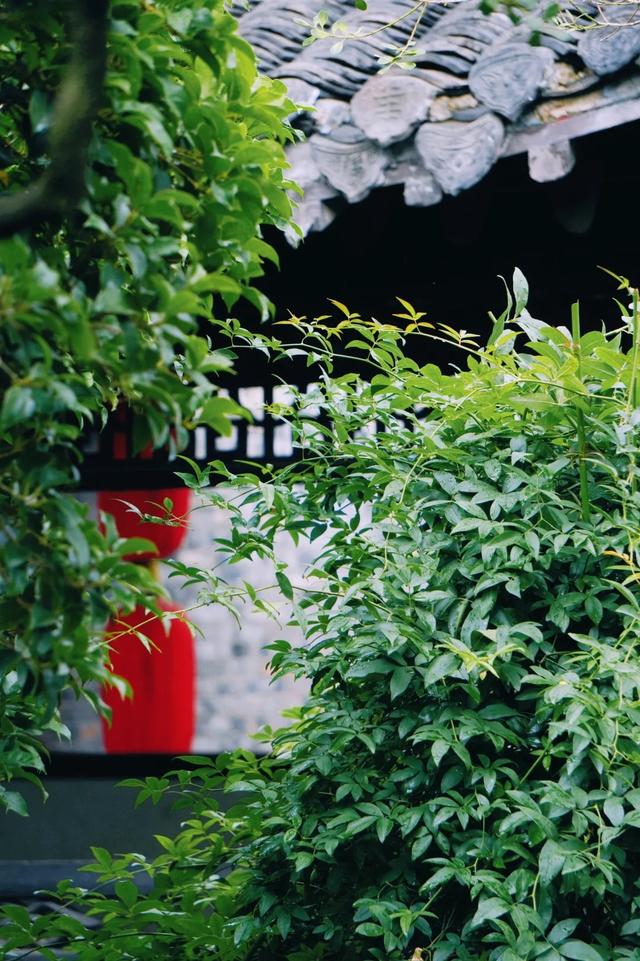 研学“趣”扬州｜何园花窗研学招募啦！