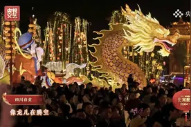 跟着央视元宵晚会 一起来自贡灯会“数龙”图片