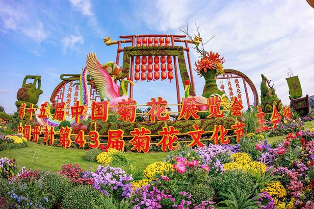 “汴”地菊花香满城，颜值如何换产值？