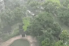 上海地铁早高峰，这种情况屡禁不止！官方最新回应图片