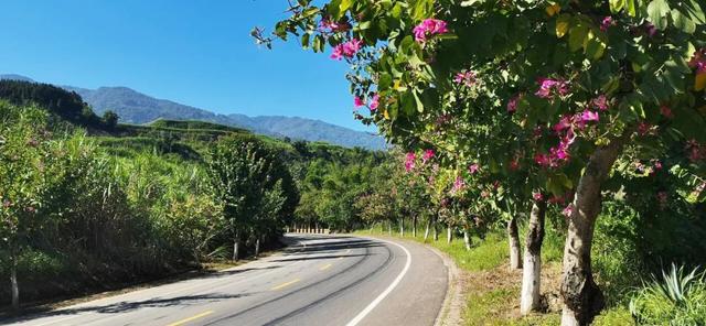 【精彩梁河】让出行成为享受 梁河公路冬日“双花”争艳