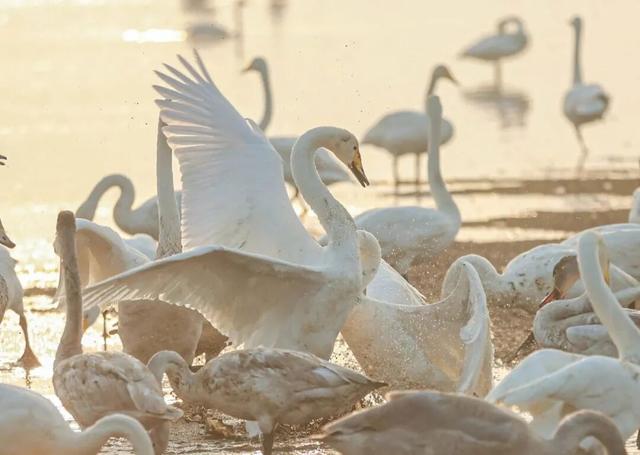 乘着高铁游威海 | 下一站，荣成！