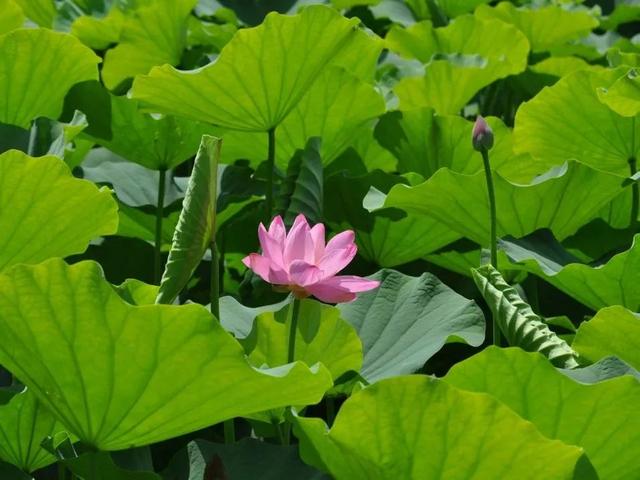 跟着浪浪山小妖怪游丰台