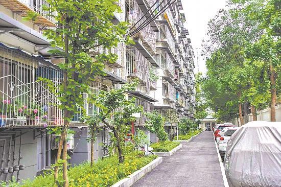 公园城市 蓉颜焕新