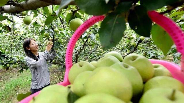 今秋，洛阳九大最美场景等你解锁