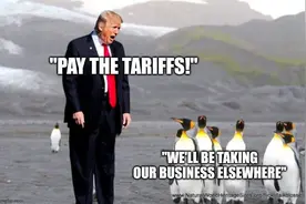 美官员：对等关税将准时生效 “企鹅岛”也不例外图片