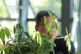 借20万凑彩礼，离婚后要求退还，当地法院判了！图片