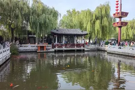 青未了|闲游老济南图片