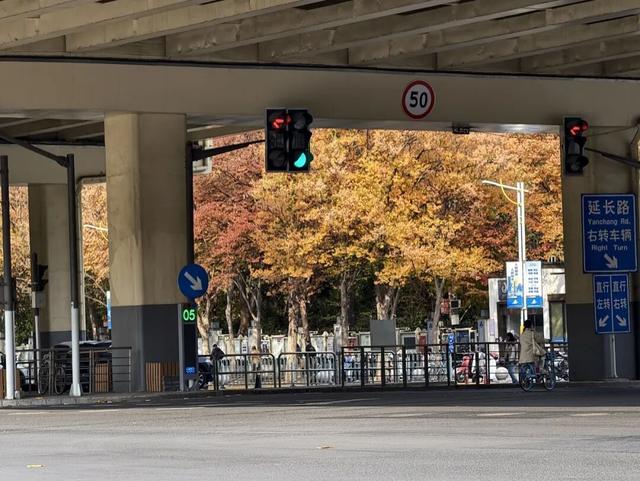 在静安，藏着一处红枫黛瓦的冬日中式美学“顶流”，猜猜在哪里？