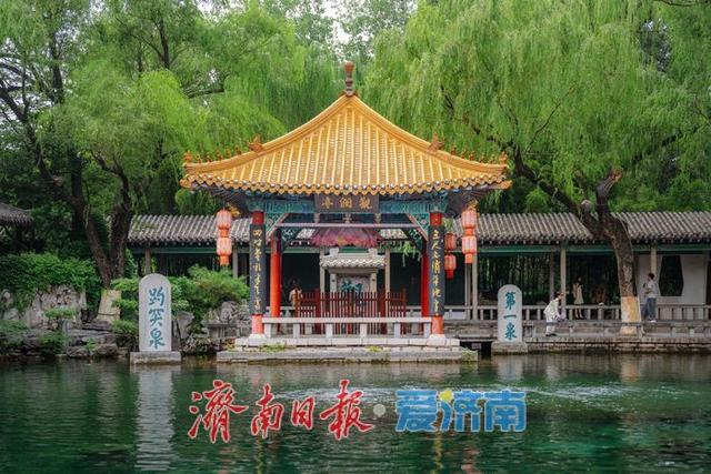 趵眼 | 泉水叮咚，从泉脉到泉城的“共生图鉴”