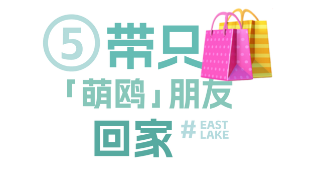 来东湖追鸥，这份私藏待办清单，请收好！