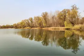 与初冬有个约会！大运河水梦园湿地公园美景如画图片