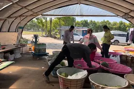 每天要卖出两三千斤！水果届的“扛把子”已上市！杭州有人天刚亮就赶来抢……图片