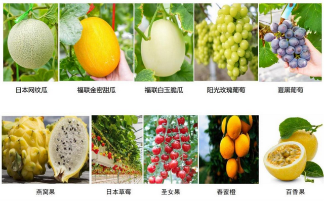 解锁新玩法！增城3条主题精品线路发布！