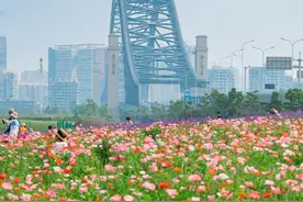 武汉小众花海骑行道，就在江边，风景绝了！图片