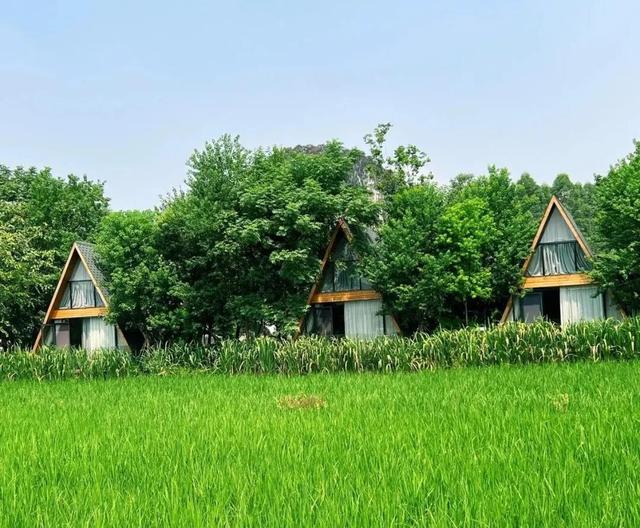 春有约、山水不负，阳春三月邀你共赏千年古江的诗意美