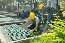 老旧小区“逆生长”  改出居民幸福生活图片