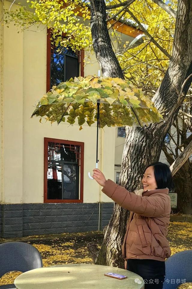 拥有一把会“悬浮”的“银杏伞”，刷爆你的朋友圈