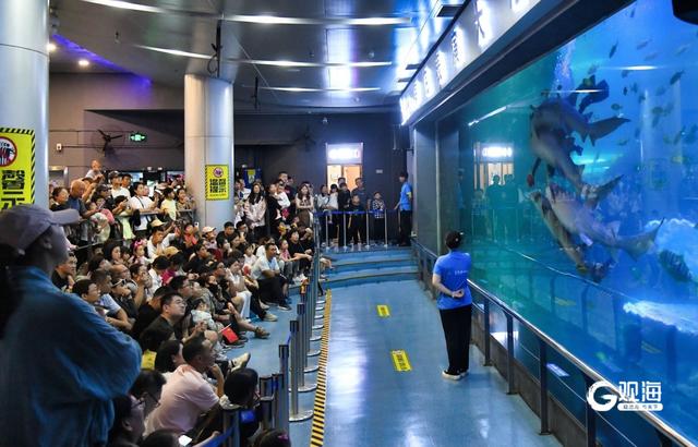 观海晨报｜双节假期青岛文旅特色活动精彩纷呈；国庆档电影总票房破9亿元