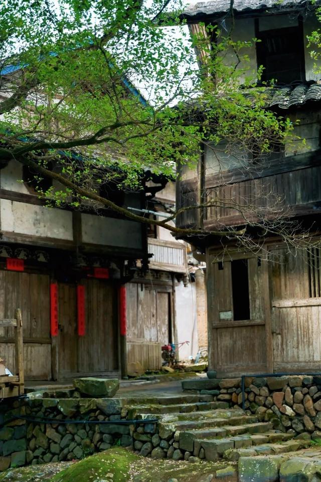 周末去“村”游！这个村人少景美，99%的福安人都不晓得~