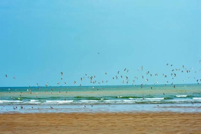 福州这些景区有了新身份！春节逛吃攻略请收查→