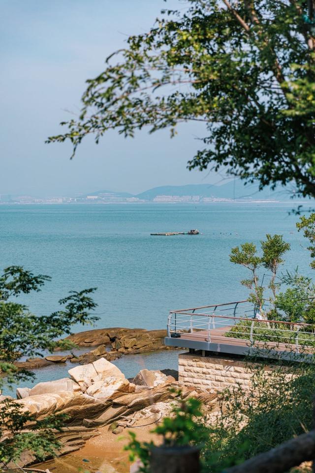 青岛宝藏海岛｜海上“竹海桃源”，探秘正在蜕变的小管岛