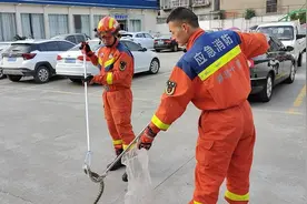 菜花蛇溜进车管所，十堰郧西消防捕捉后放生图片
