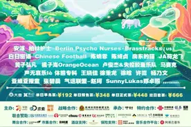 许嵩、张碧晨、陈绮贞、房东的猫……华数不止音乐节来了图片