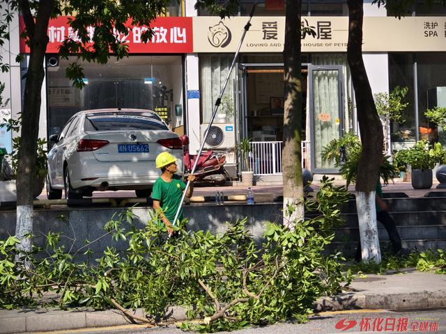 福地怀化 懂你如家 | 绿化家园迎旅发