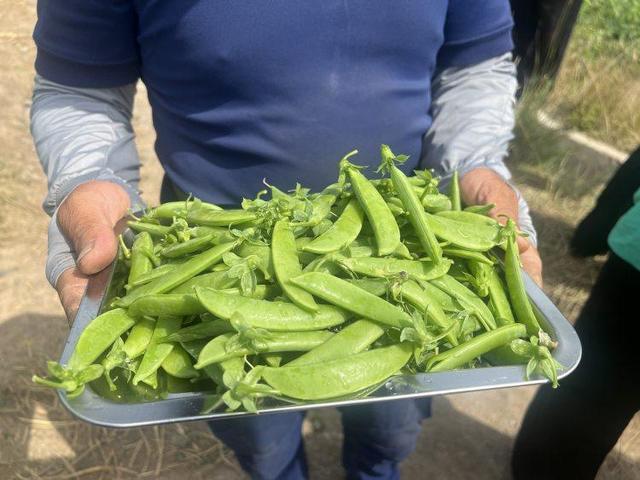 文化中国行｜风过两千年 铜奔马背上的六朝古都仍在 “奔跑”
