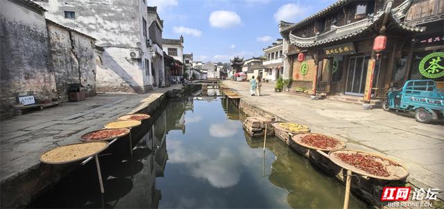 秋游时刻丨漫步黄山唐模村，在水街畔感受一场秋的慢调