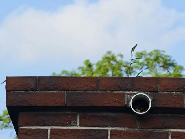 一键收藏！向化镇邀您打卡限定版秋色