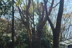 冬衣收不起来了吗？新一轮寒潮又将来袭！云南局地降温超14℃！昆明天气……图片