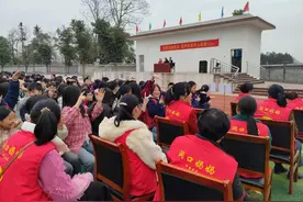 杨林镇：“利剑护蕾”入校园 安全教育伴成长图片