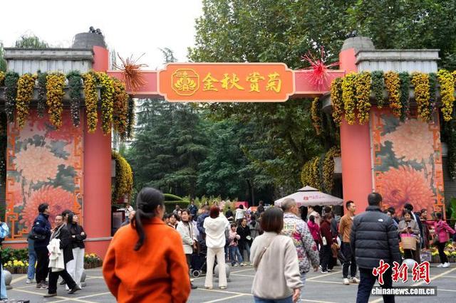 四川成都：700余种菊花亮相引游人