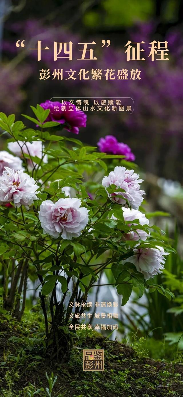 文脉铸魂，文旅破圈！彭州五年文化繁荣“高光答卷”震撼来袭